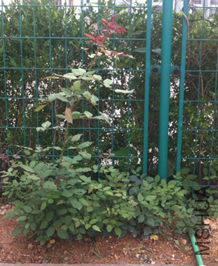 QQ��ͼ20140605124911.png
