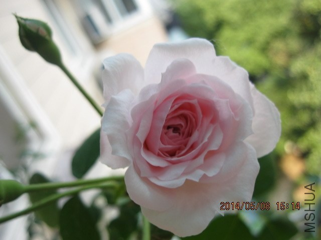 �ҹ���