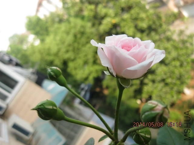 �ҹ���