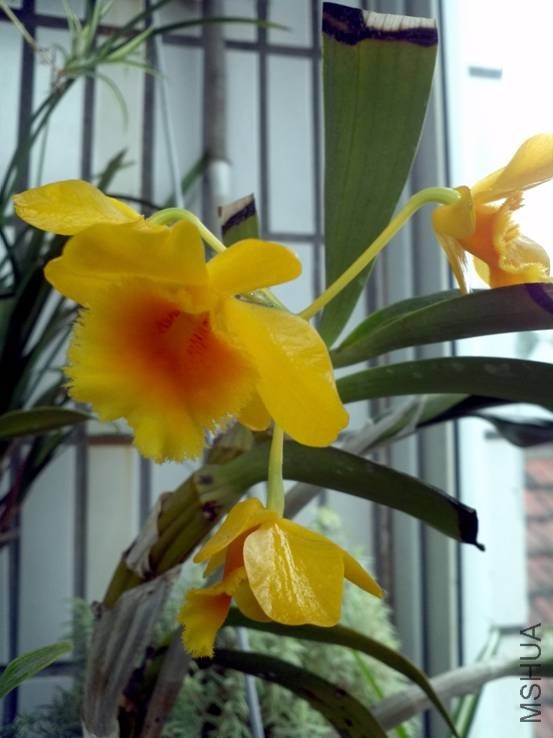 image002.jpg