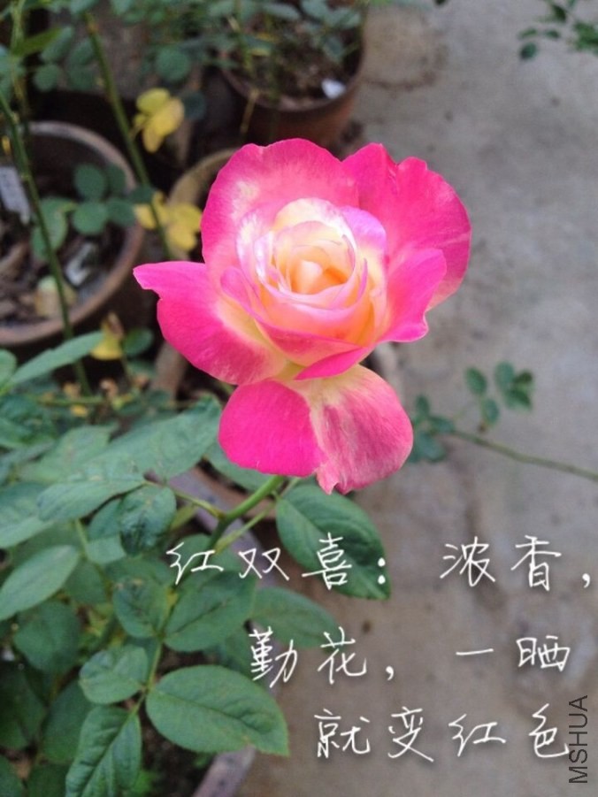 QQͼƬ20140604235748.jpg