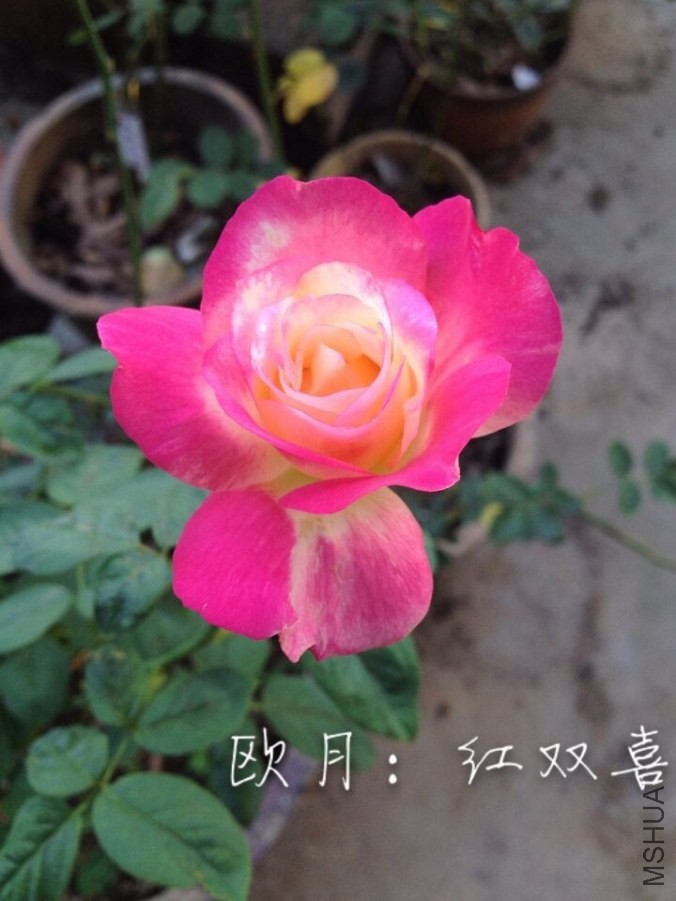 QQͼƬ20140604235724.jpg