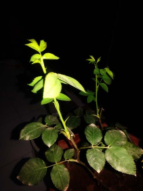QQͼƬ20140605153005.jpg