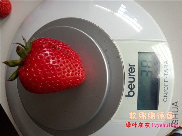 20140605��ݮ԰ (3).jpg