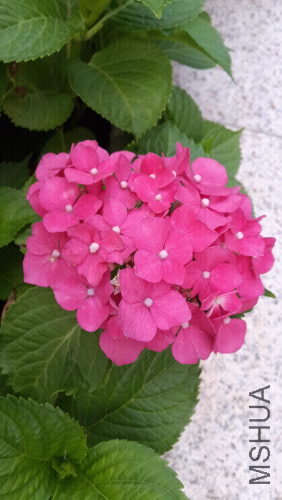 20140605_182029.jpg