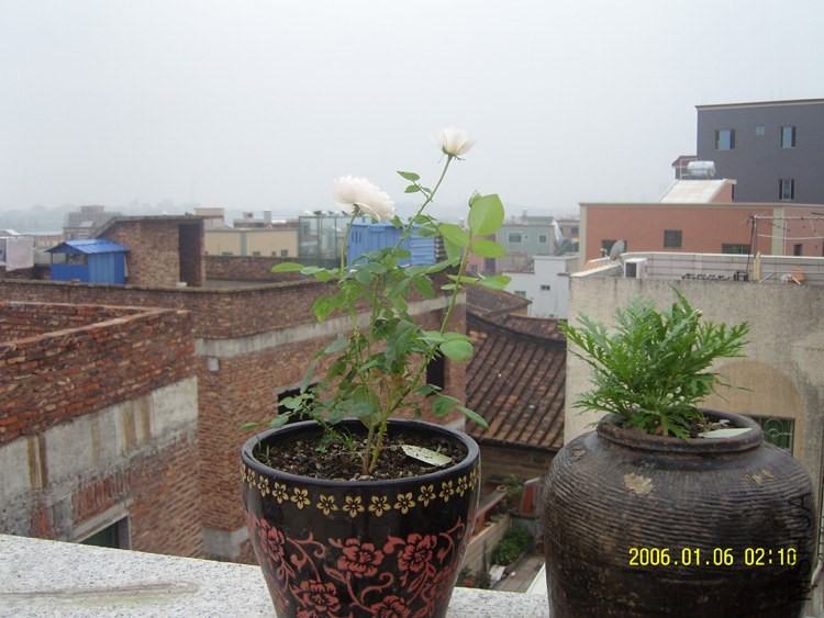 SNC16243.jpg