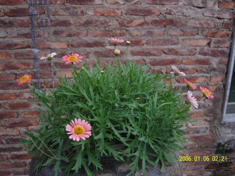 SNC16251.jpg