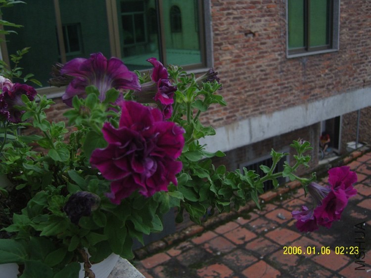 �ذ�ģ��Լ�����Щ���ȻҲ�������ٲ忪�����겻��