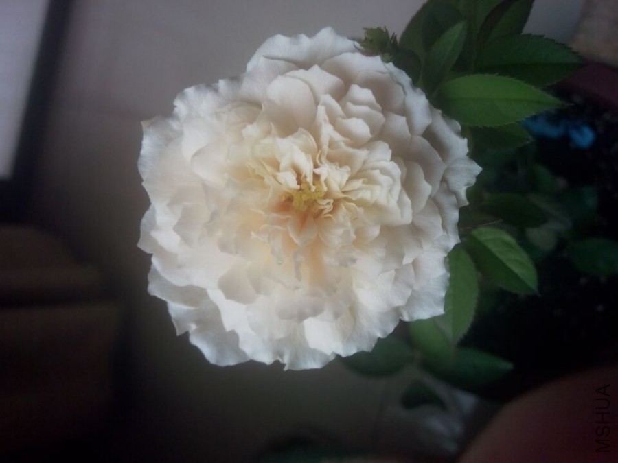 QQͼƬ20140606105953.jpg