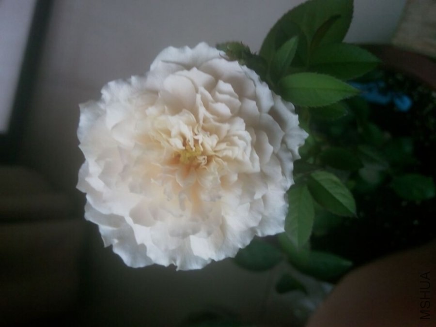 QQͼƬ20140606105941.jpg