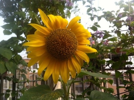 ��Ƭ 023.jpg