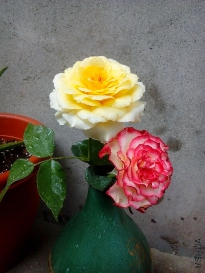 QQͼƬ20140606125922.jpg