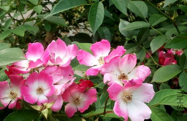20140605_162845.jpg