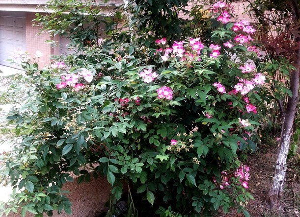 20140605_162928.jpg