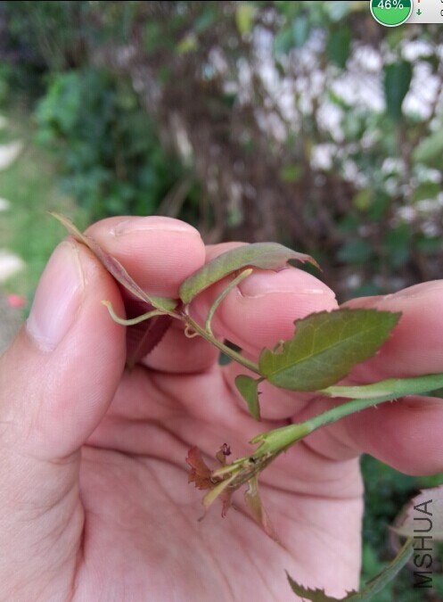 �ƻ��ĳ���