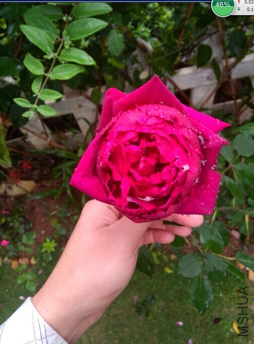 ��֪���¼�