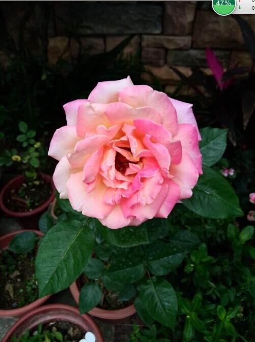 ��֪���¼�������