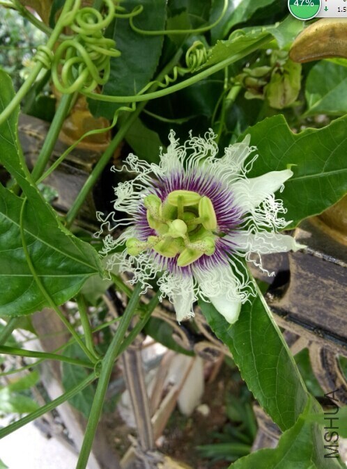 �������