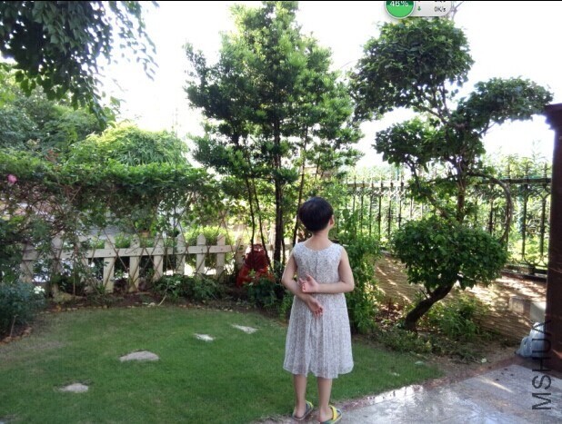 �糿�����⡢СŮ����Ӱ