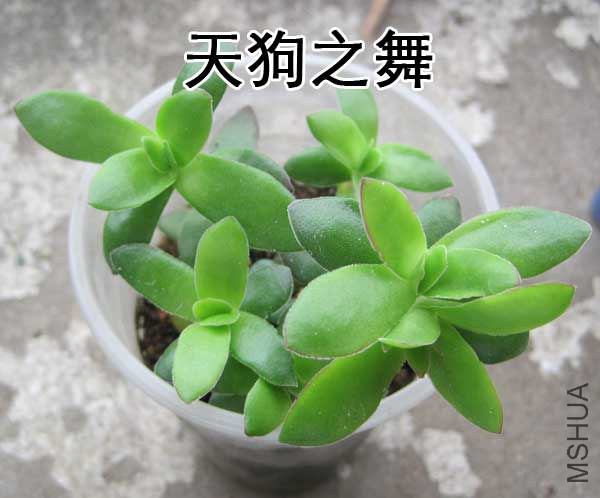 �칷֮��.jpg