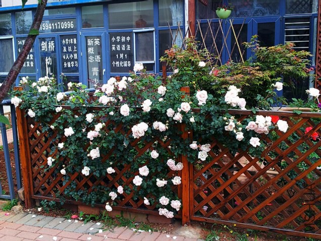 20140601_071249.jpg