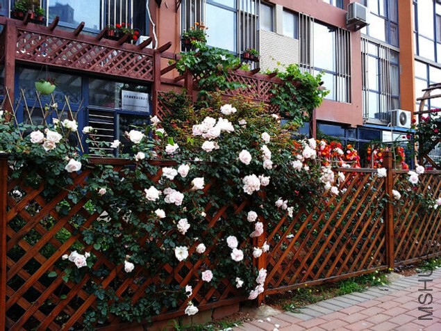 20140601_071315.jpg