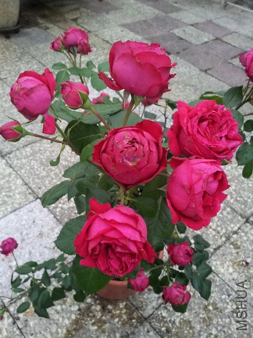2014_2.jpg