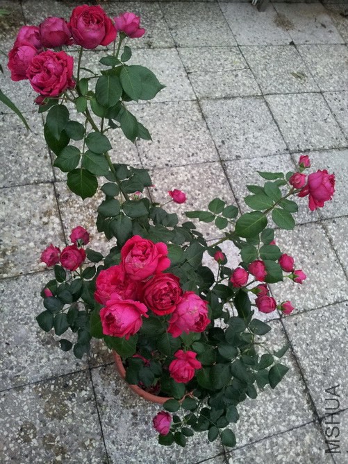2014_1.jpg