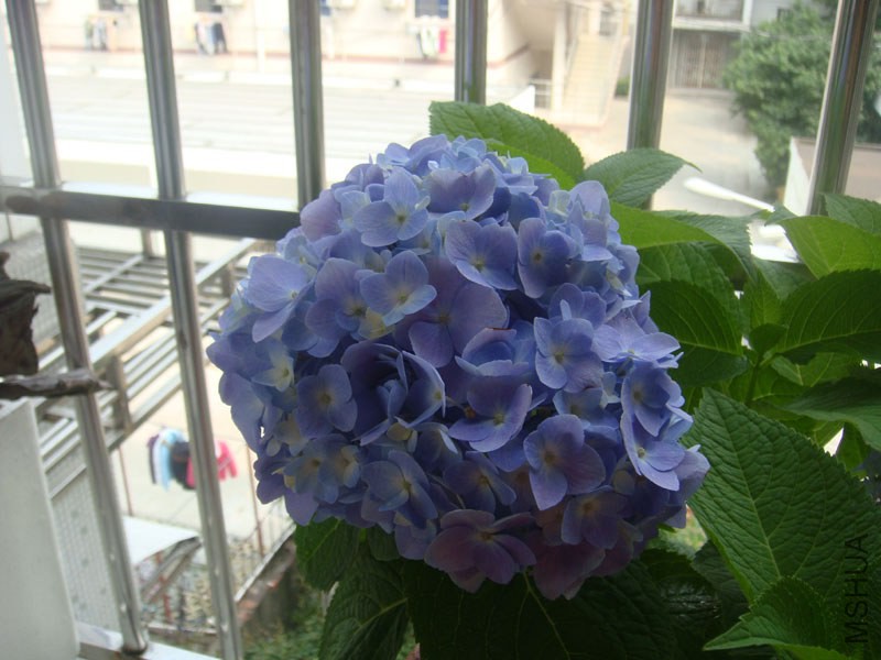 DSC02794.JPG