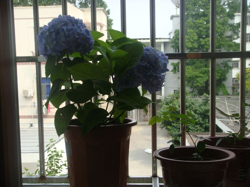 DSC02799.JPG