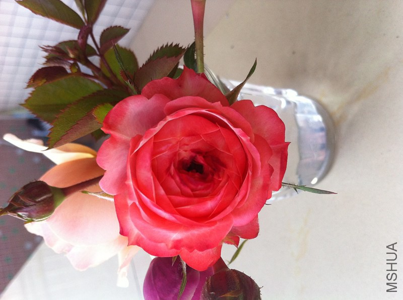 ��Ƭ 005_����.jpg