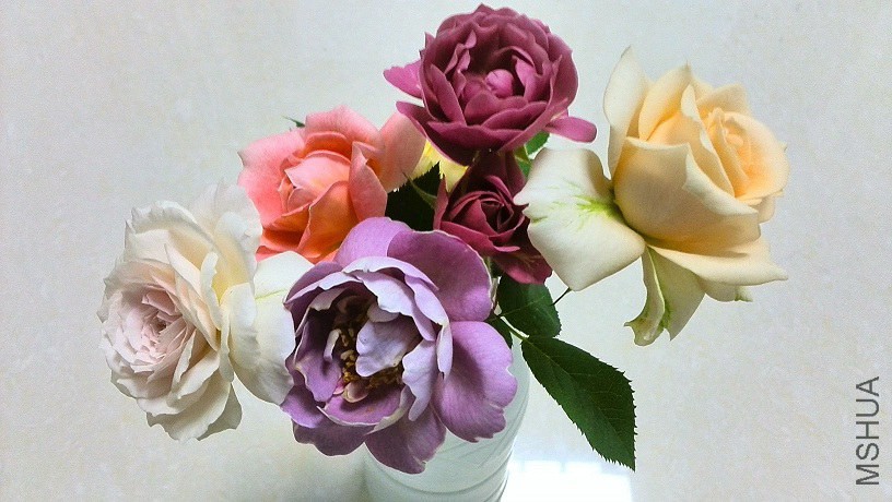 IMG_20140531_193806.jpg