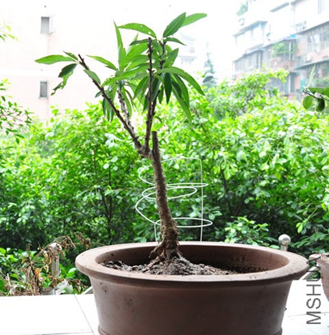 DSC_5077_����.jpg