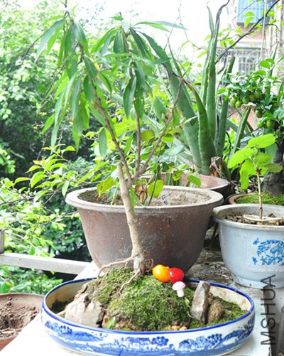 DSC_5080_����.jpg