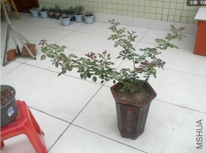 QQͼƬ20140608170421.jpg