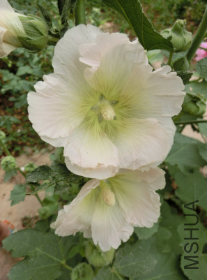 QQ��ͼ20140608172810.png