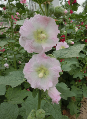 QQ��ͼ20140608173104.png