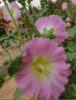 QQ��ͼ20140608172912.png