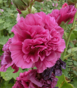 QQ��ͼ20140608172943.png