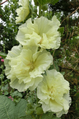 QQ��ͼ20140608173007.png