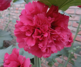 QQ��ͼ20140608174651.png