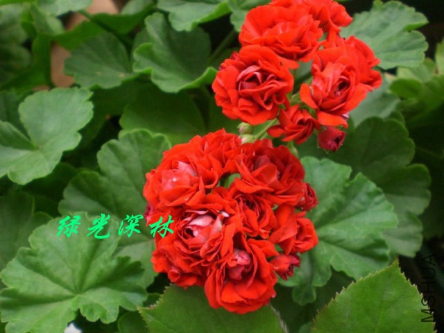 psbCAJBQ1B5.jpg