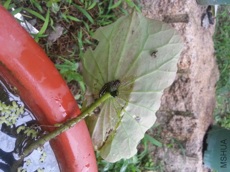20140530_082809.jpg