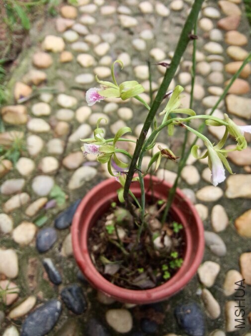 QQͼƬ20140609112350.jpg