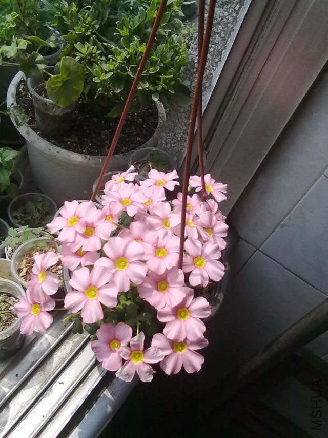 201403183103.jpg