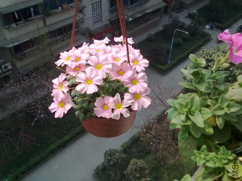 201403183134.jpg