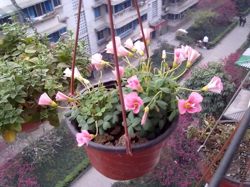 201403263384.jpg