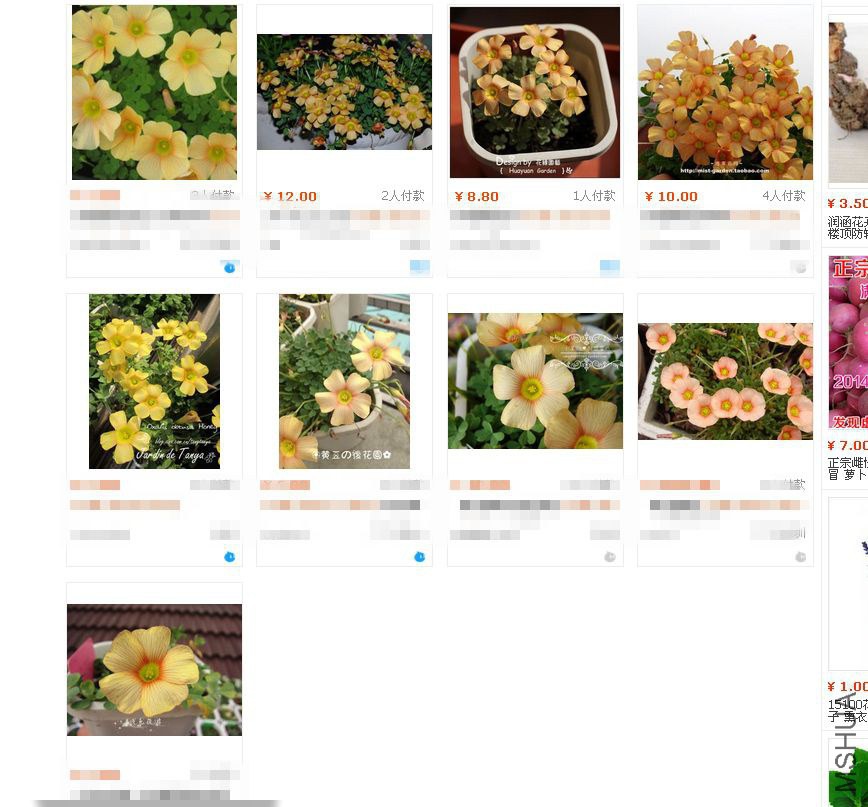 �ѹ���ͼ20140609131805_����.jpg