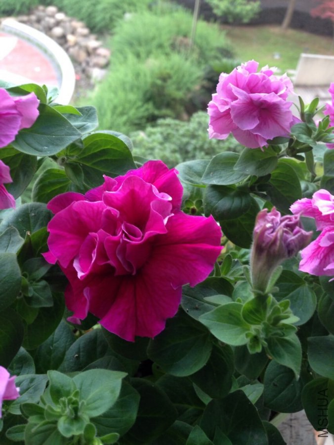 QQͼƬ20140609153813.jpg