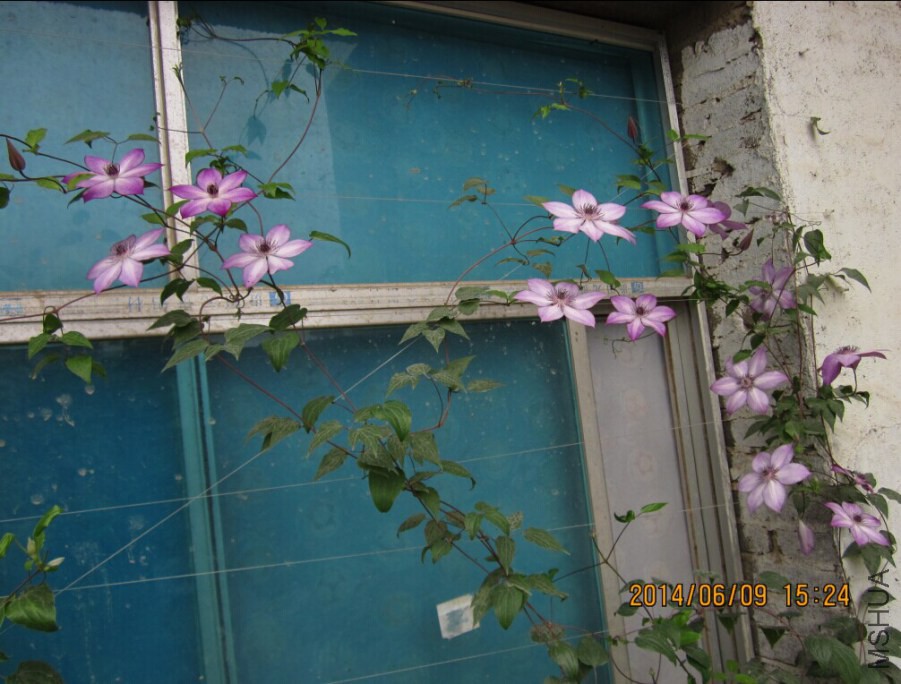QQͼƬ20140609165121.jpg